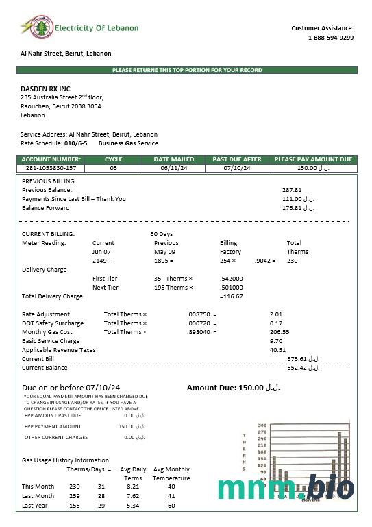 Liban energii elektrycznej Libanu rachunek za usługi komunalne szablon w formacie Word i PDF